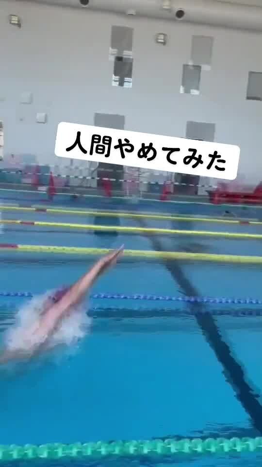 这是你从没见过的海豚泳