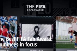 FIFA最佳球迷奖候选人公布：欧洲杯的丹麦和芬兰球迷入选